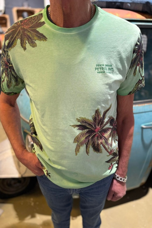 PETROL - M-1040-TSR673 - TSHIRT - GROEN